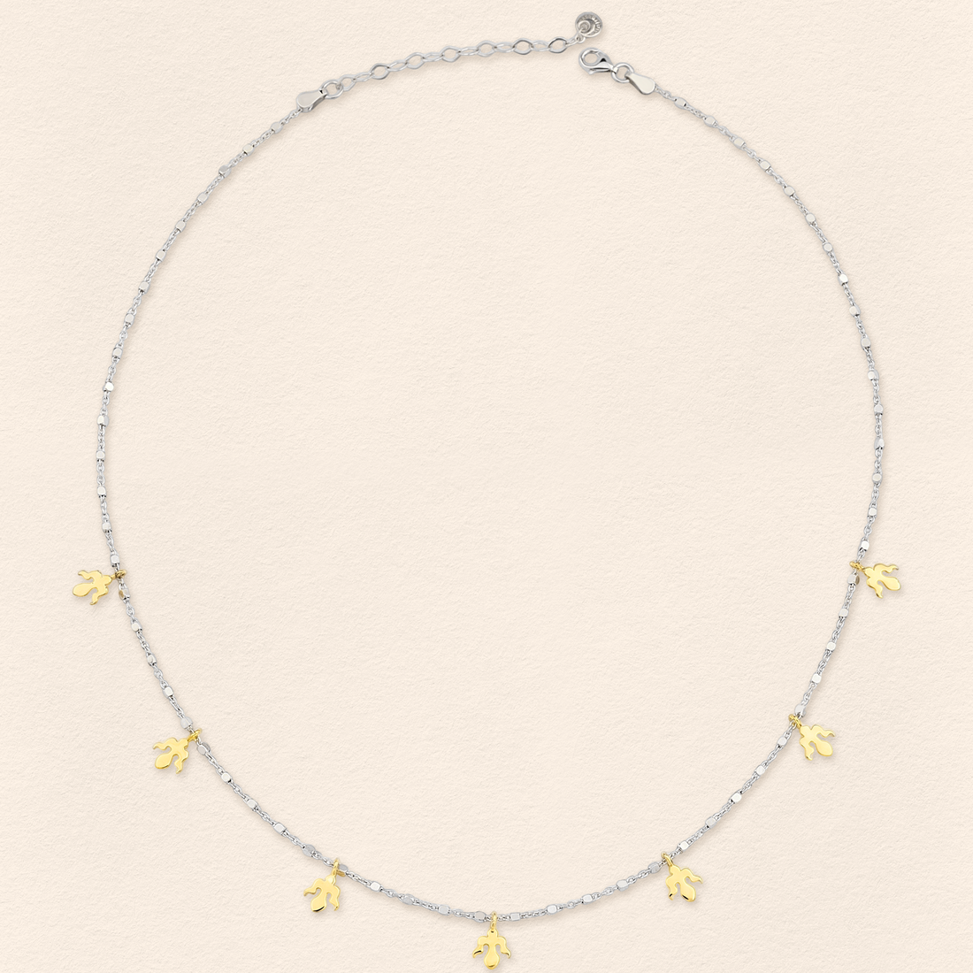 Alka Thin Necklace