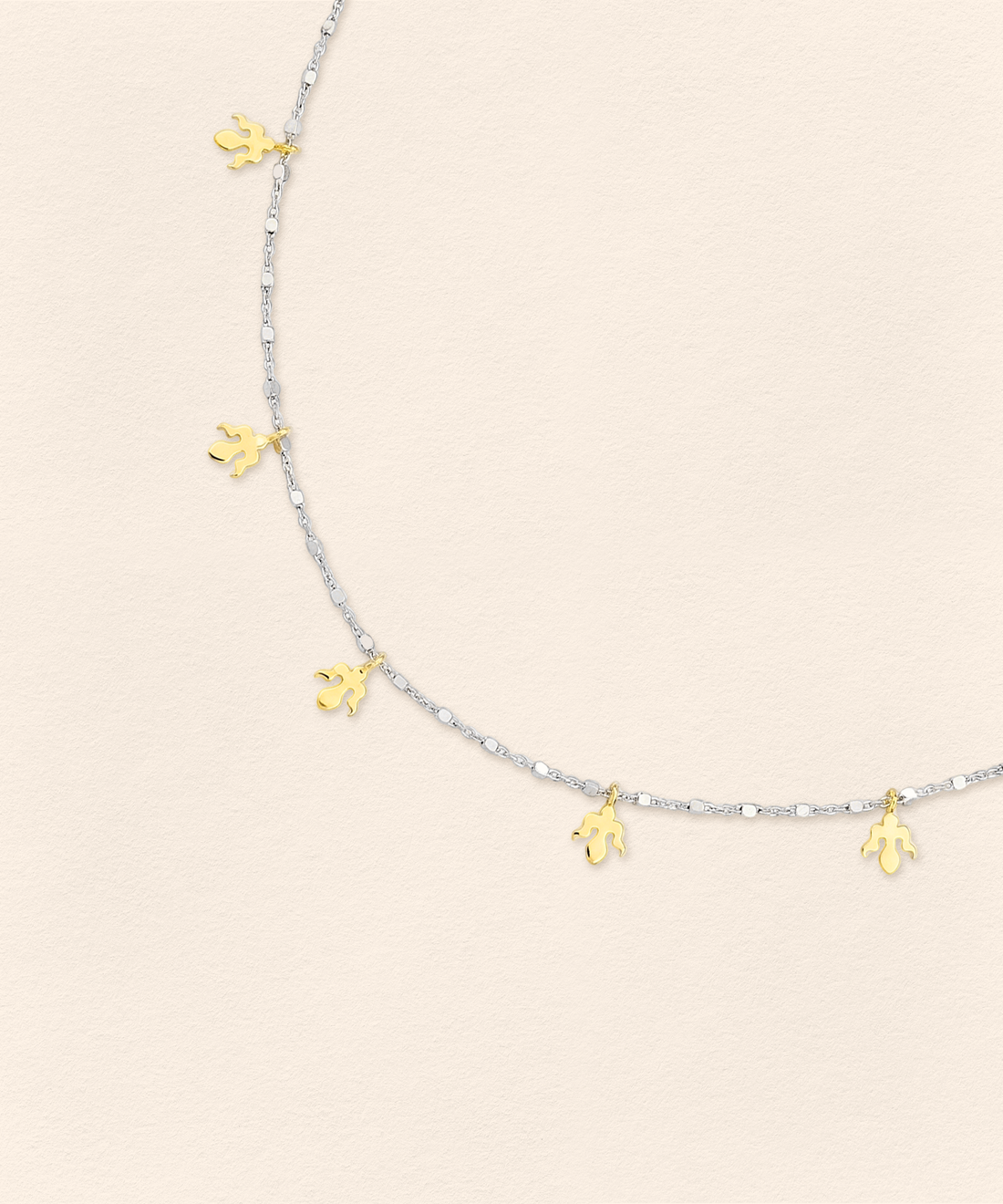 Alka Thin Necklace