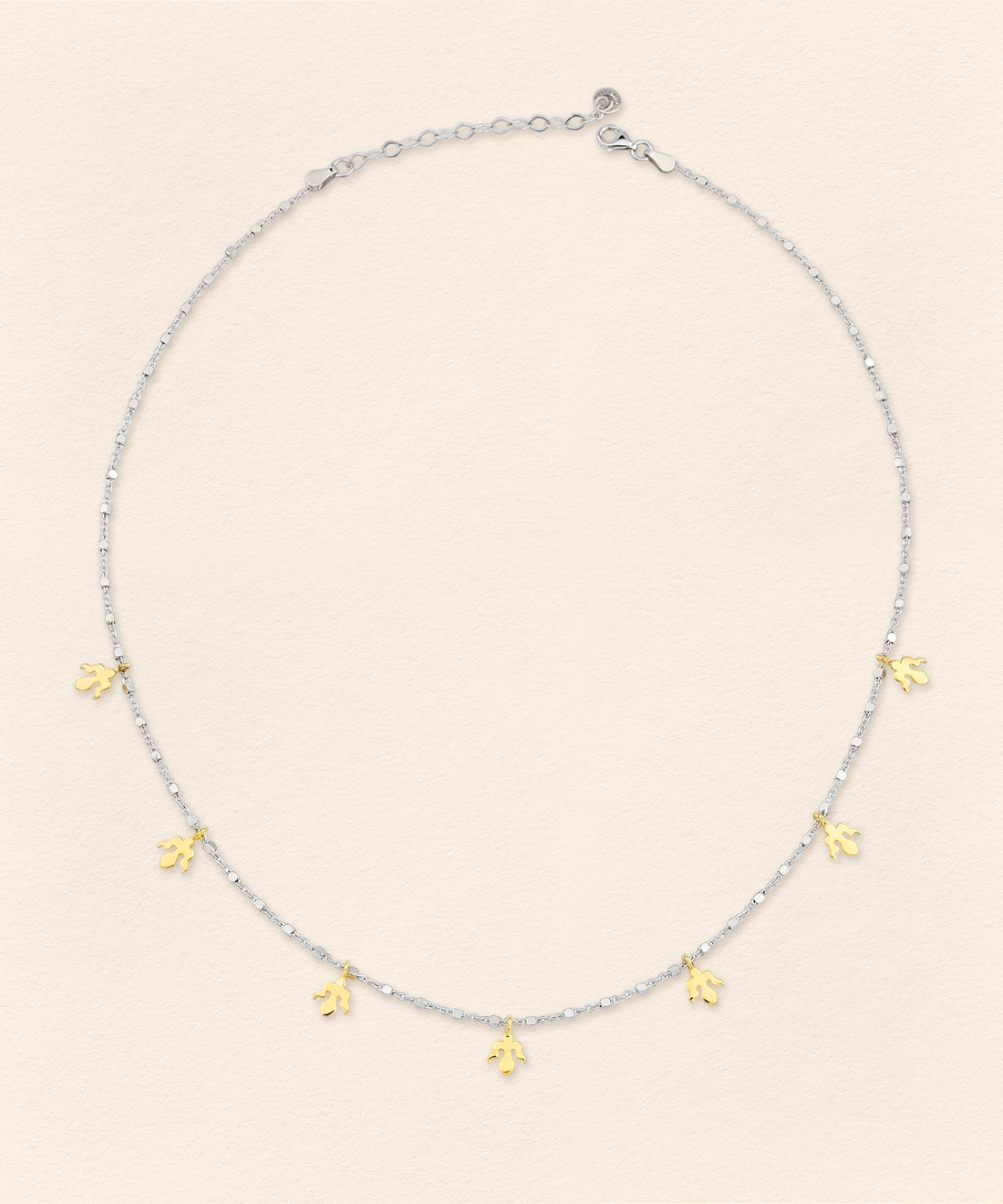 Alka Thin Necklace