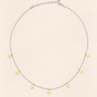 Alka Thin Necklace