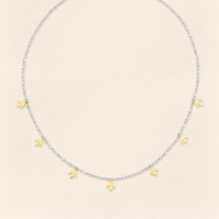 Alka Thin Necklace